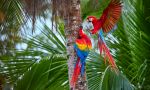 Our Latin America Trips