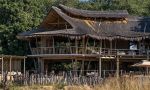 Nyamatusi Mahogany Camp