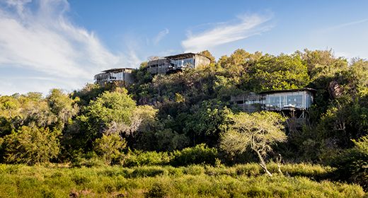 rsa_singita_lebombo_banner_large.jpg