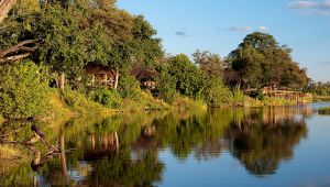 Savuti Camp
