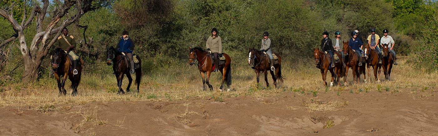 Horesback Safaris
