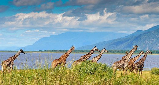 Lake Manyara