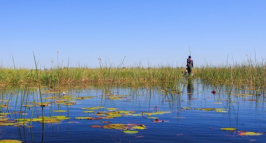 Okavango Panhandle