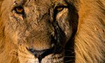 Our Africa Destinations