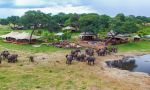 Somalisa Acacia Camp