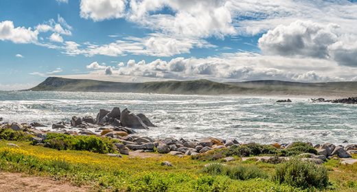 West Coast National Park