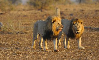 South Africa