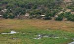 Linyanti Bush Camp