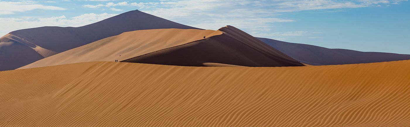 Incredible Dunes