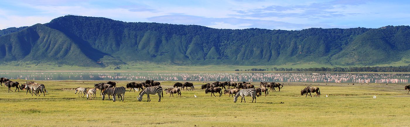 Ngorongoro Crater