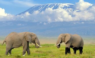 Kenya