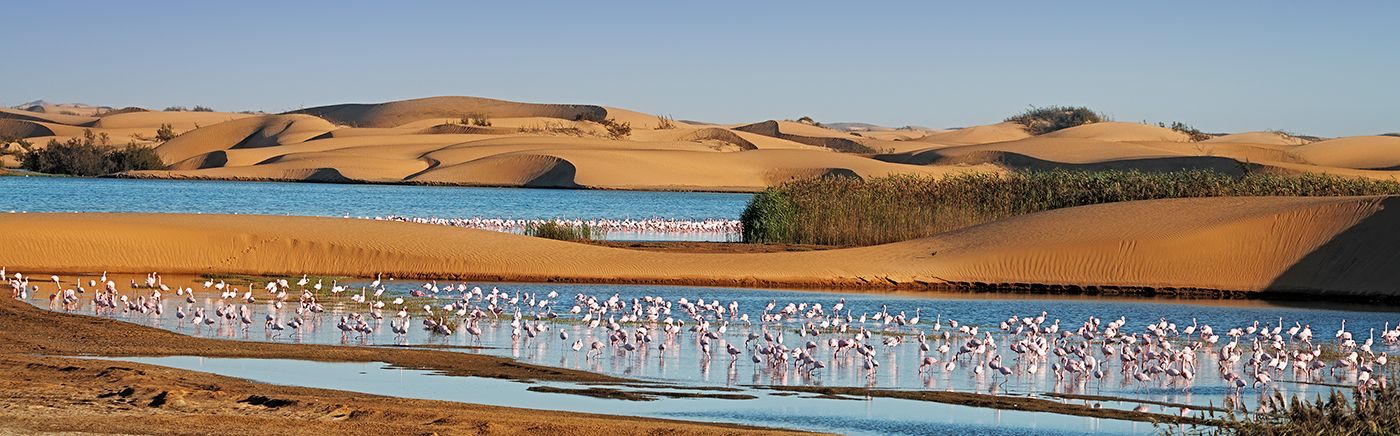 Walvis Bay