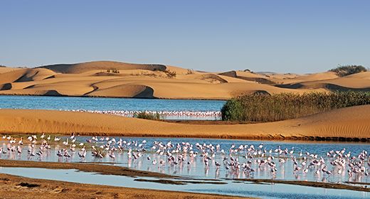 Walvis Bay