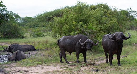 Big Five