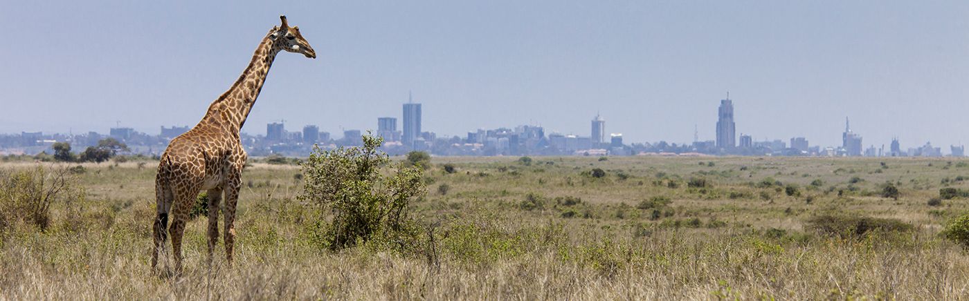 Nairobi National Park