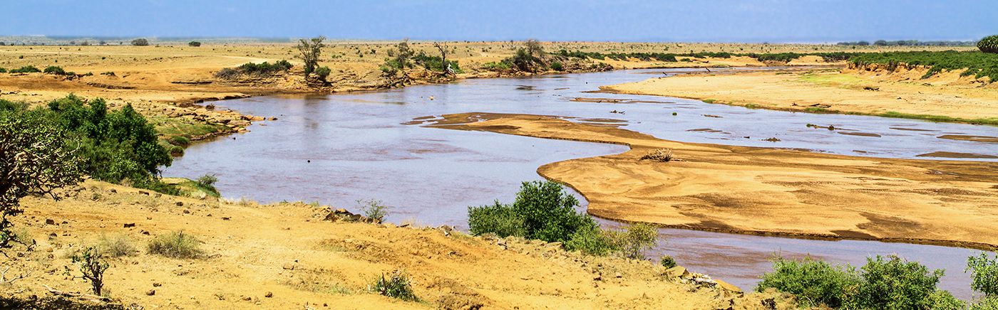 Rivers of Life
