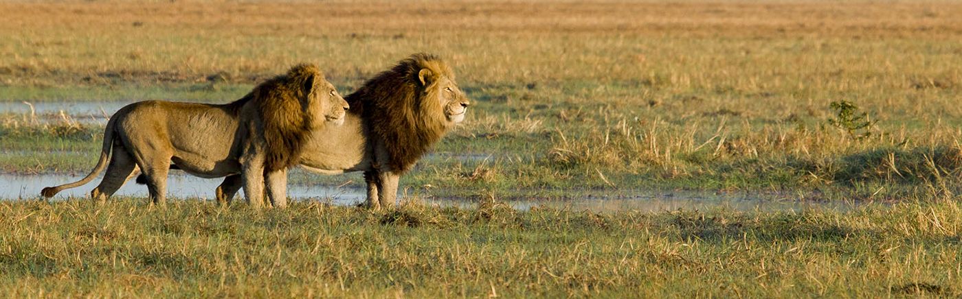 Kafue