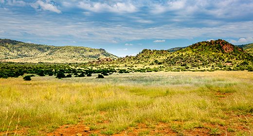 Pilanesberg & Sun City