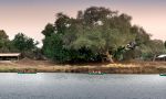 Zambezi Expeditions Camp