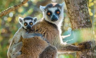 Madagascar