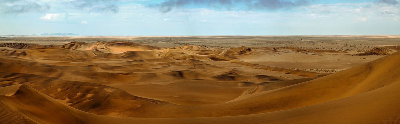 Dune Sea