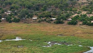 Linyanti Bush Camp