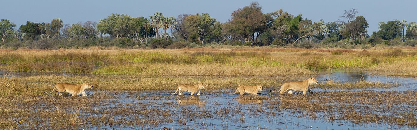 Okavango Delta