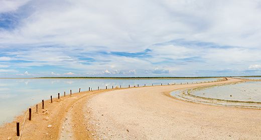 Etosha Pan with Water