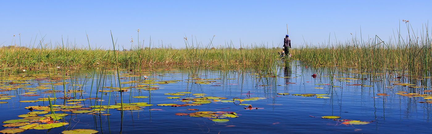 Okavango Panhandle