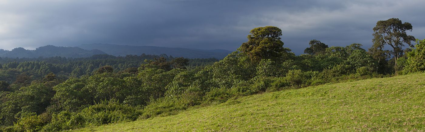 Mount Kenya