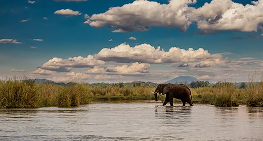 Lower Zambezi