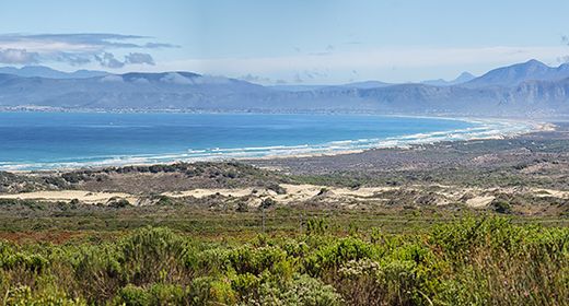 Walker Bay