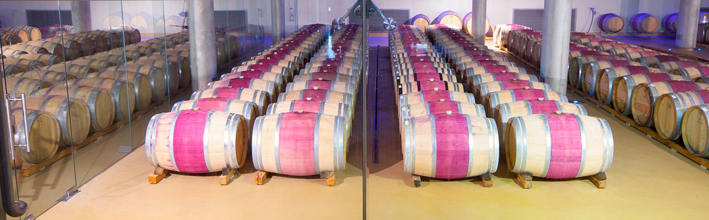 Wine Tours