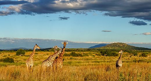 Southern Tanzania