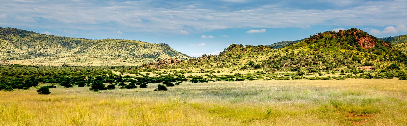 Pilanesberg & Sun City