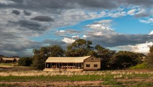 Desert Rhino Camp