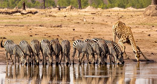 Hwange