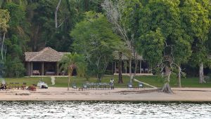 Rubondo Island Camp