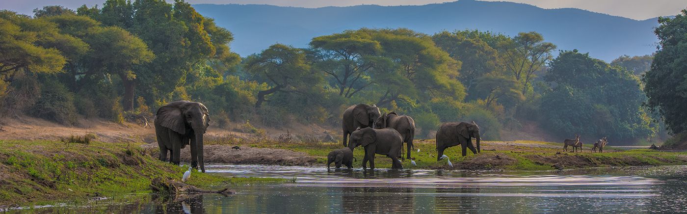 The Lower Zambezi