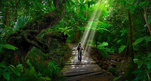 Nature