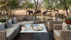 Ngala Safari Lodge
