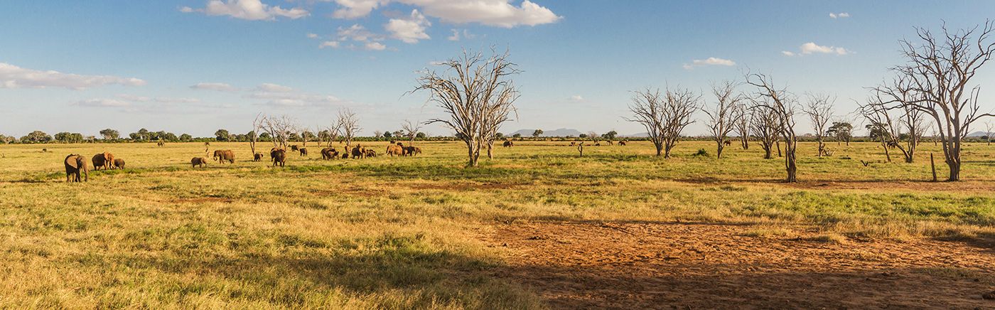 Open Spaces